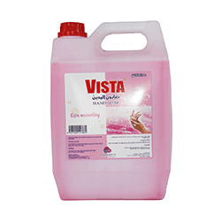HAND WASH VISTA 5LTR
