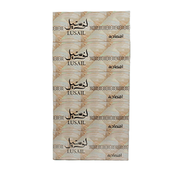 TISSUE CARTON CLASSIC LUSAIL 200 SHEETS 5 PCS