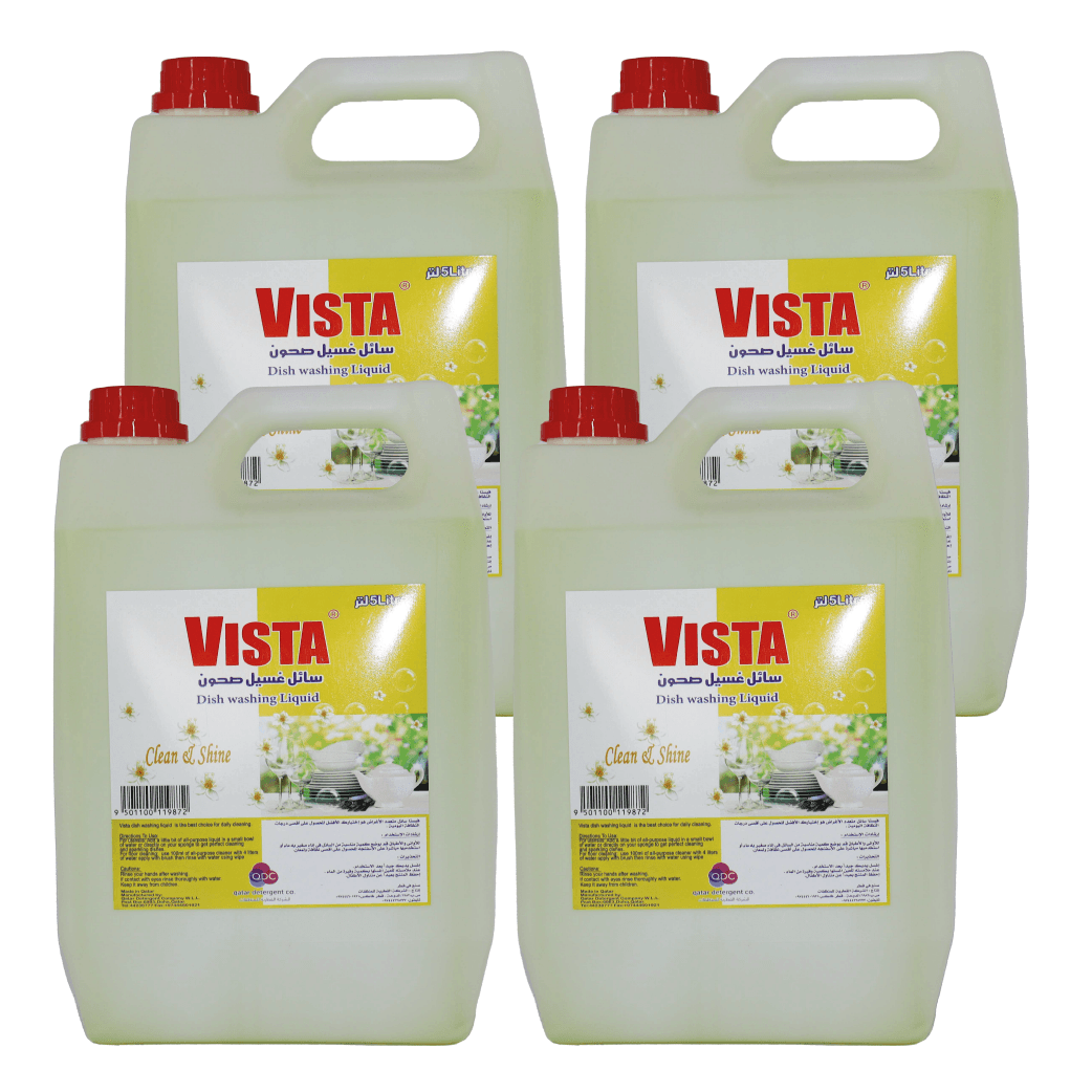 DISH WASH VISTA (5*4 LTR)