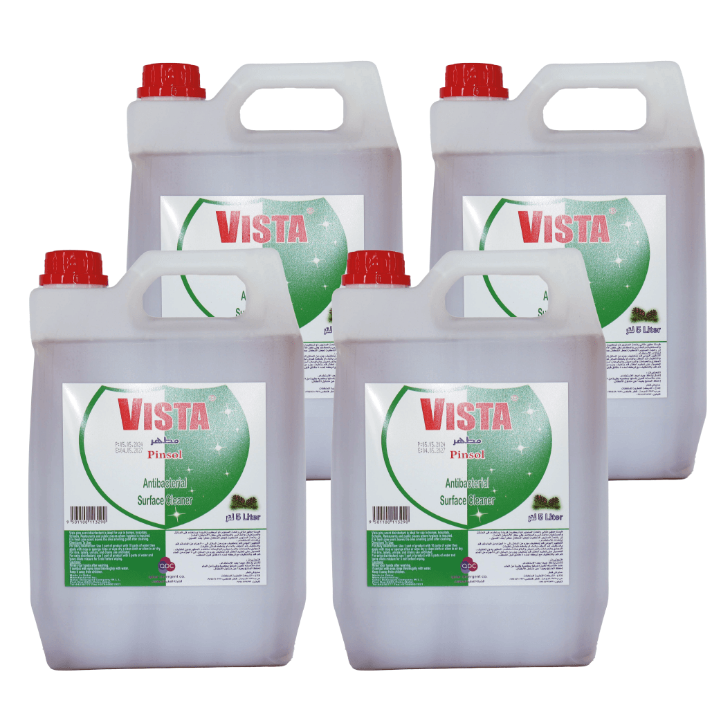 PINSOL (DETTOL) VISTA (4*5 LTR)