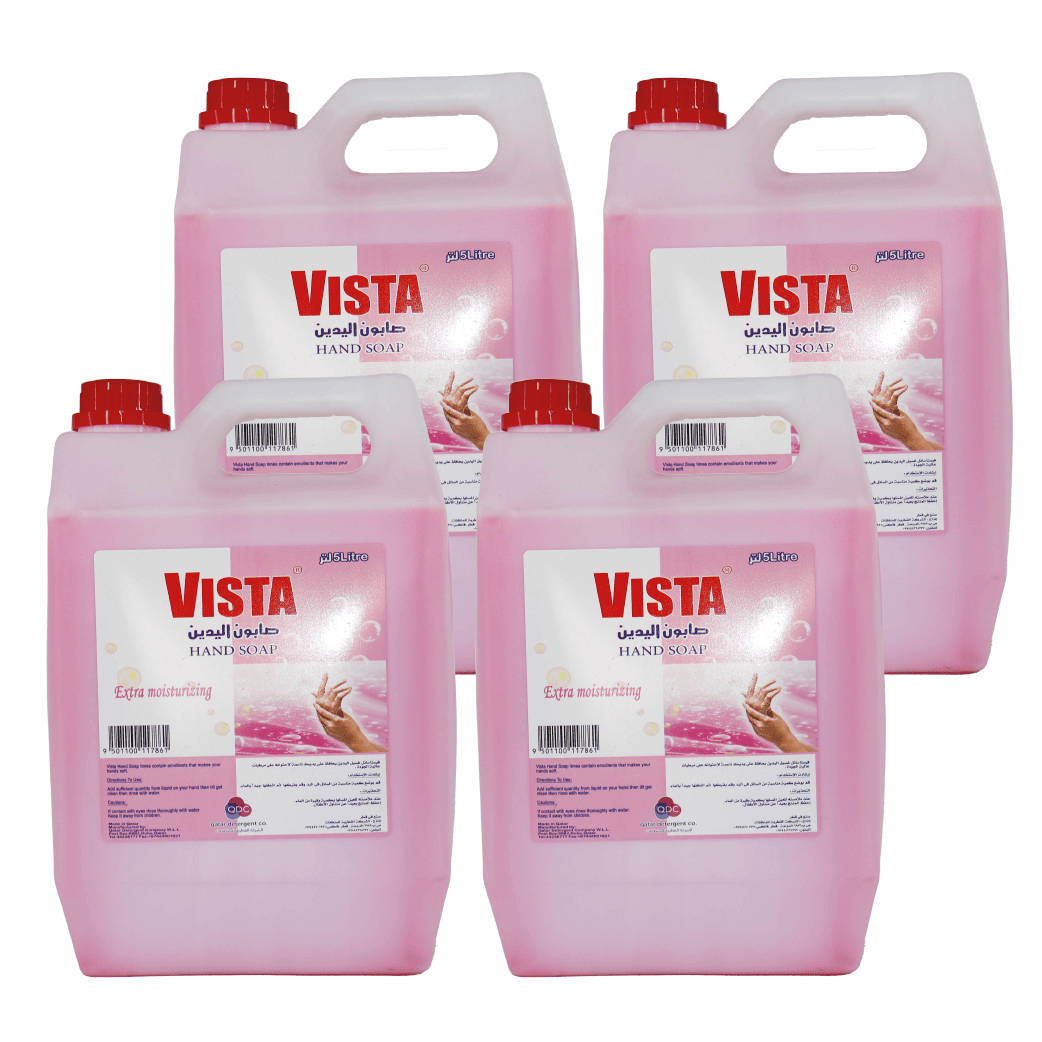 HAND WASH VISTA (4*5 LTR)